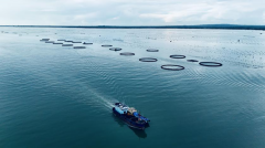 搭建全程可逃溯供应链办理系